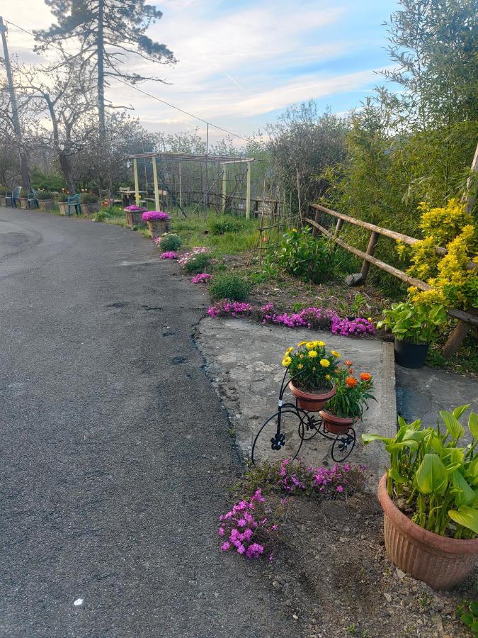 Gasthof Il Giardino Dei Pavoni *