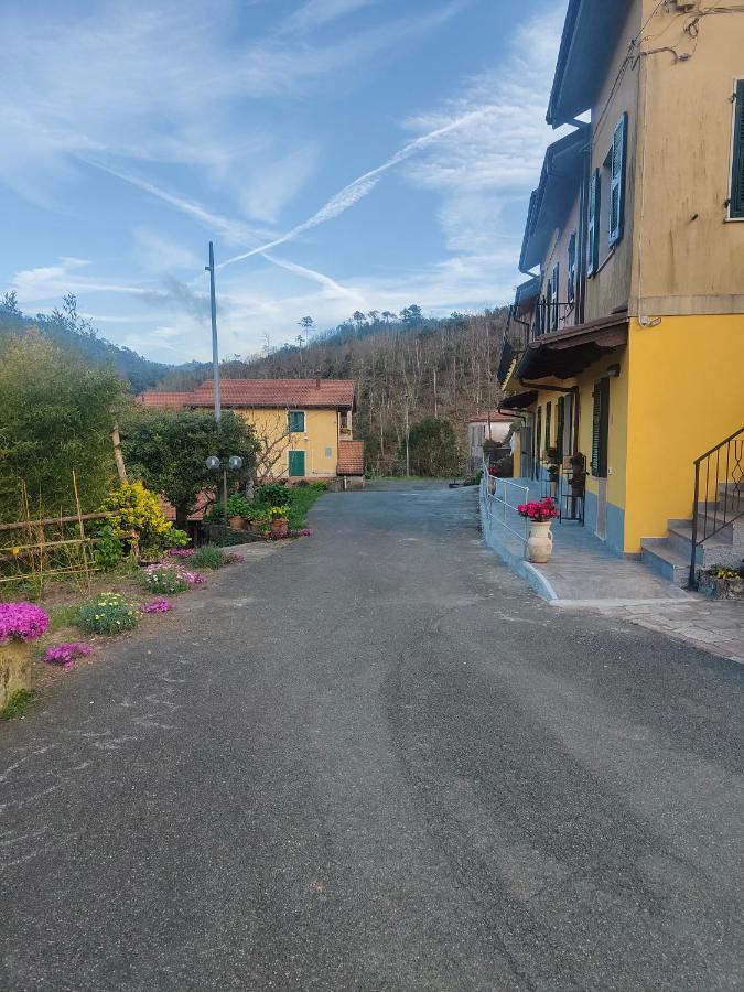 Il Giardino Dei Pavoni *